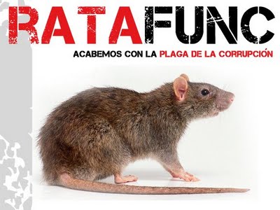 Chasing rats | Space for Transparency